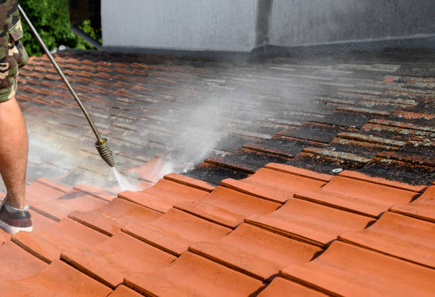 Best Roof Pressure Washing  in Duncannon, PA